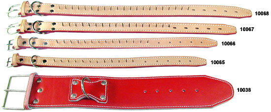 Protective Collars Against Wolves and Wild Boar Hunting