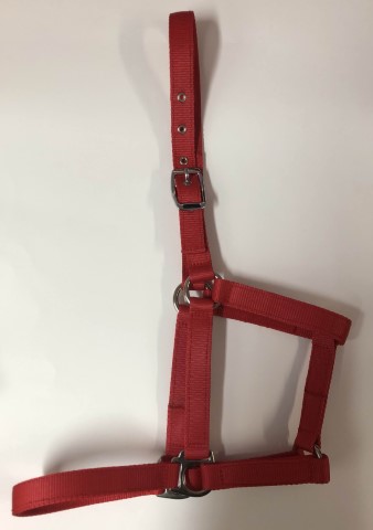 Cabeção para Cavalo